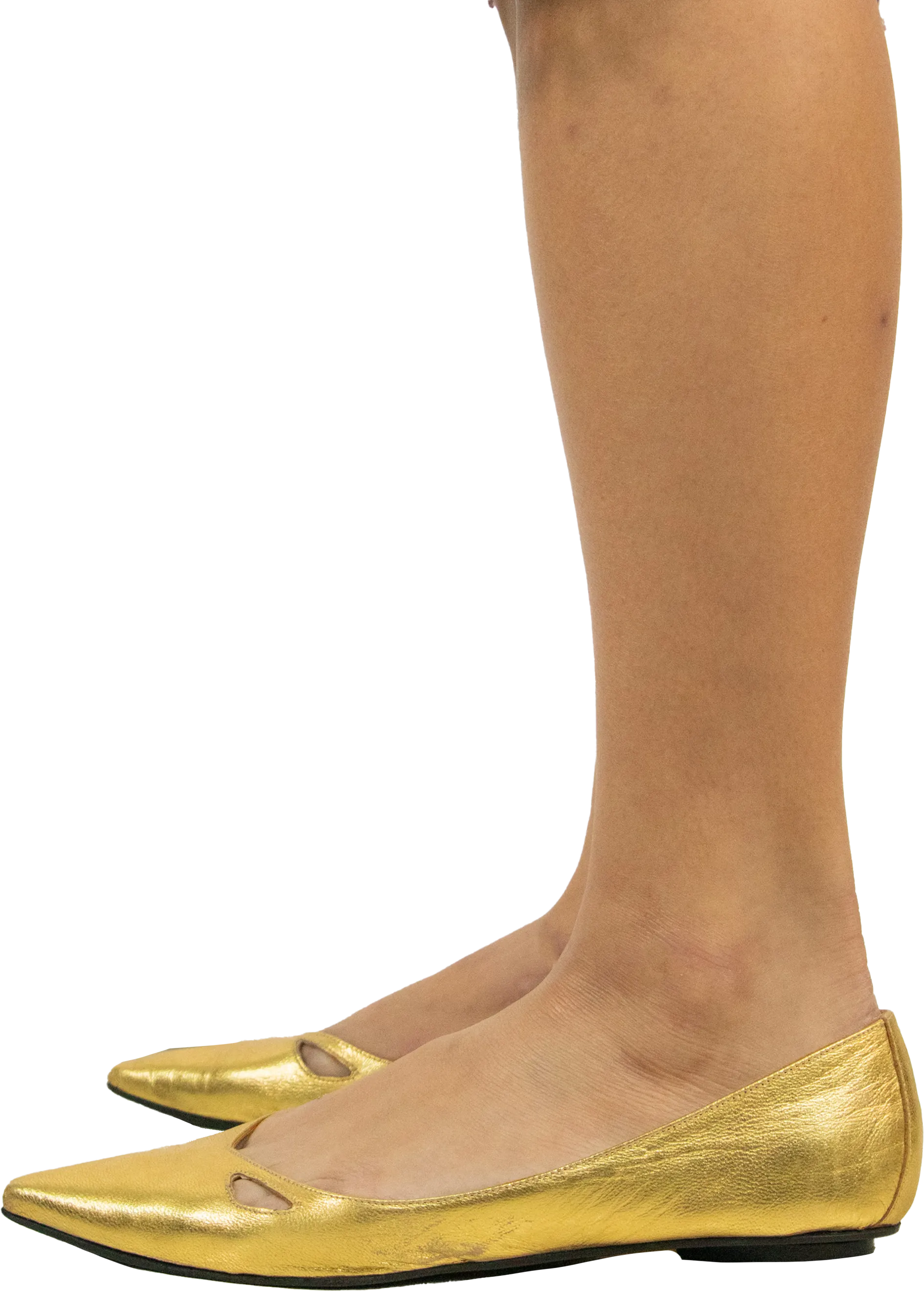 Sigerson Morrison Ballet Flats